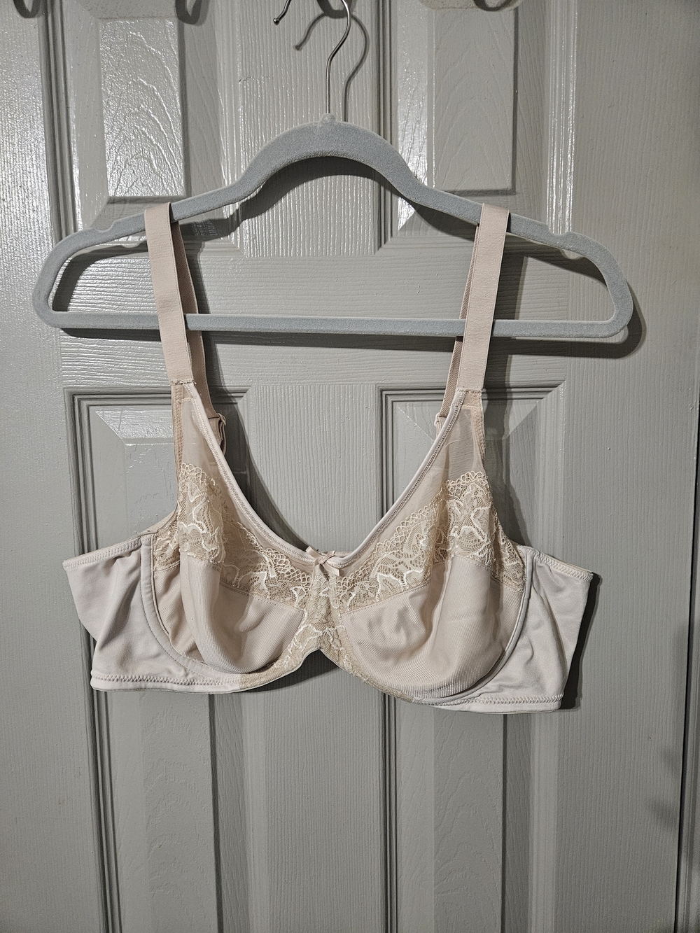 Lilyette Light Beige Lace-Trim Underwire Bra